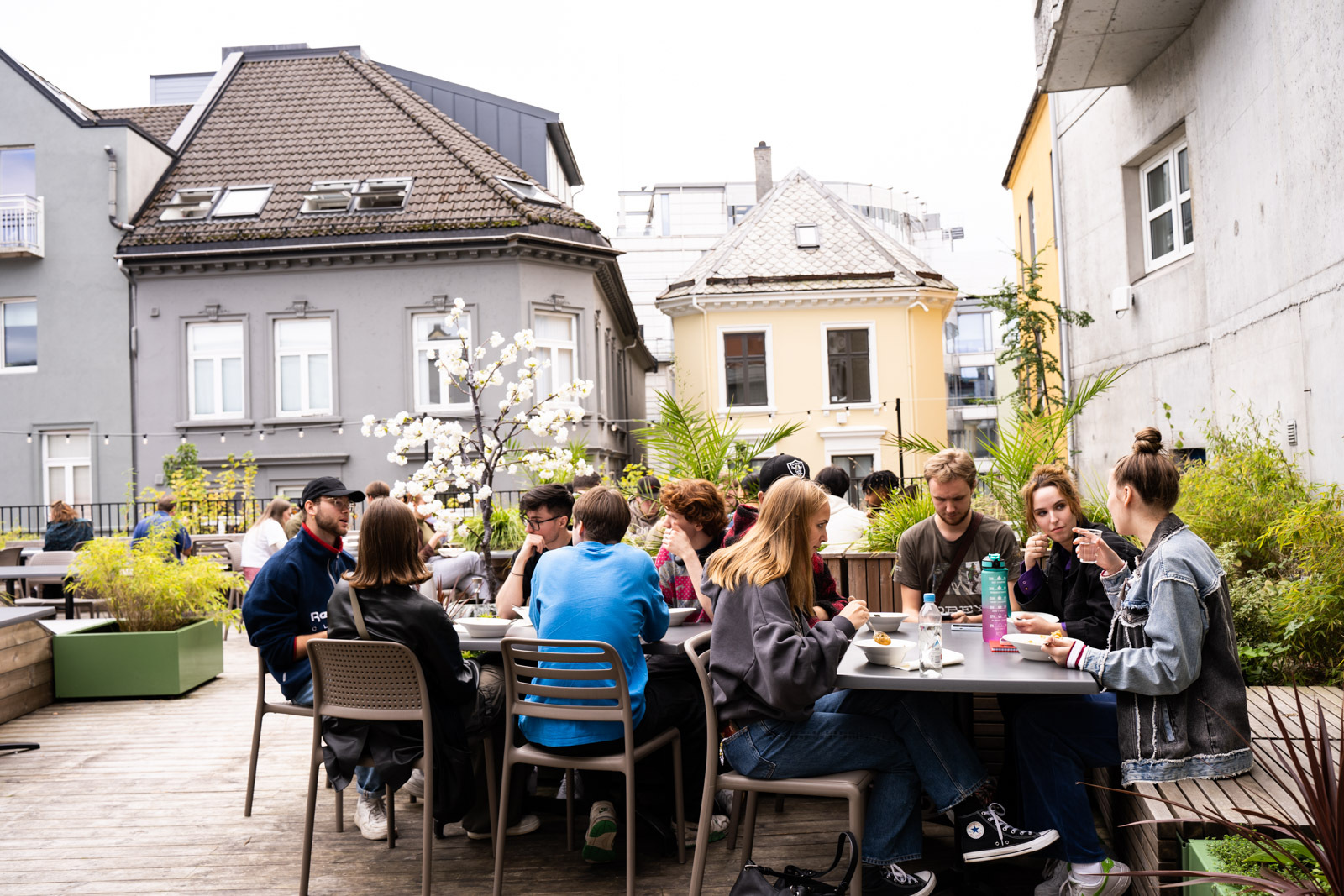 Synne SB Boenes 23 Brak Kontordagen 01425