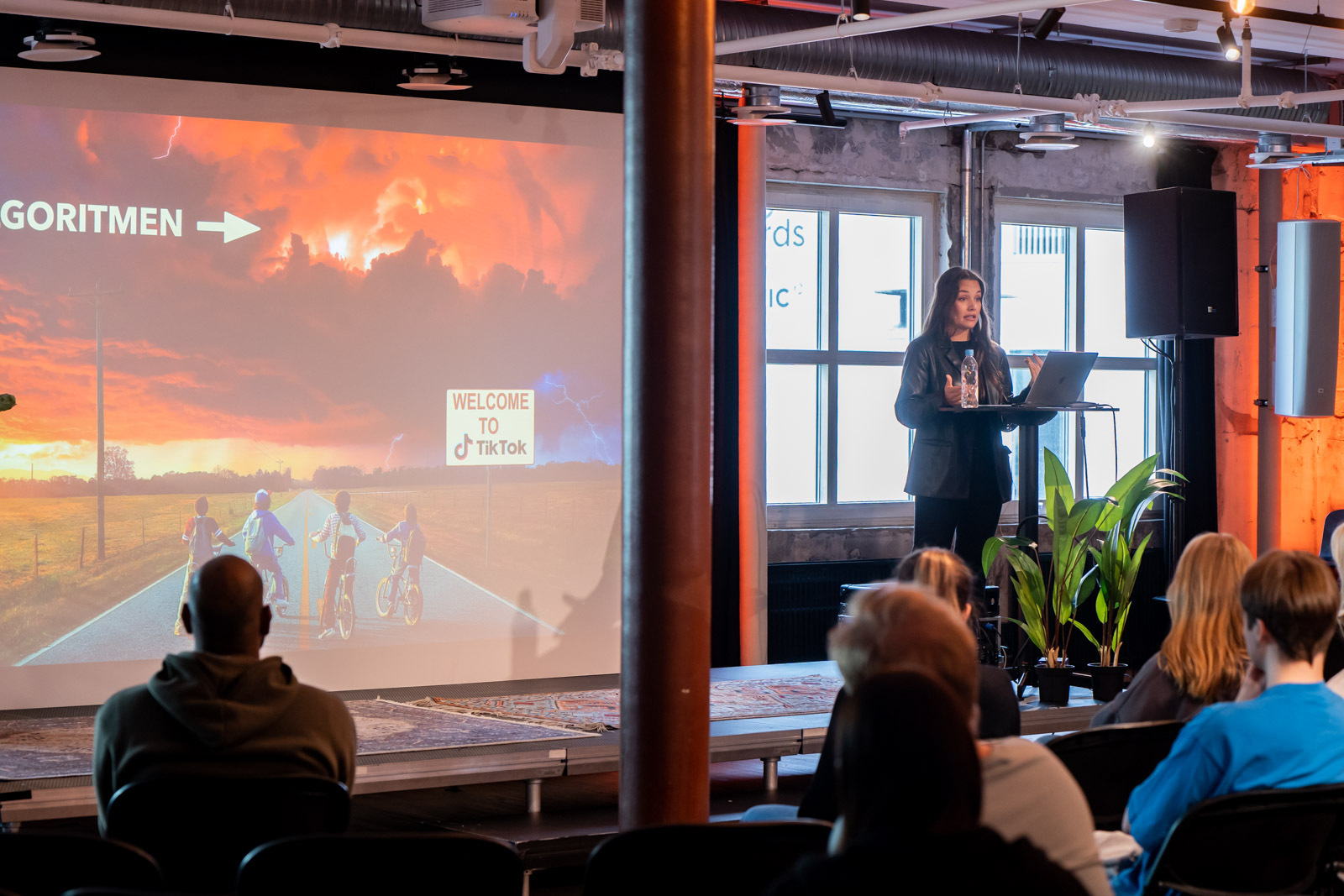 Synne SB Boenes 23 Brak Kontordagen 01940