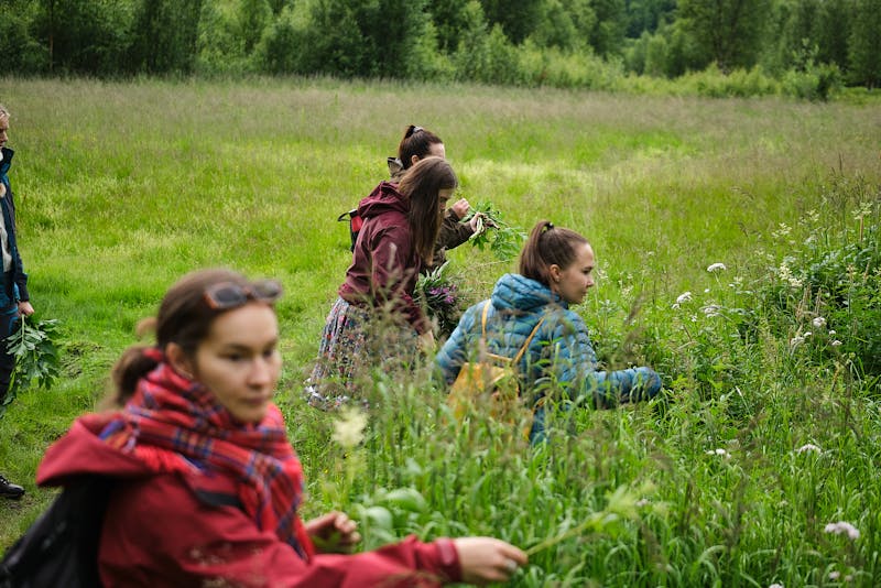 Riddu Nuorat, ungdomsprogrammet til ﻿Riddu Riððu, hadde klima som tema i 2021. Her er de på workshop i samling og bruk av urter i samisk tradisjon. Lærer var Maret Ravdna Buljo.  ﻿Foto: Andreas Kalvig Anderson / Riddu Riððu