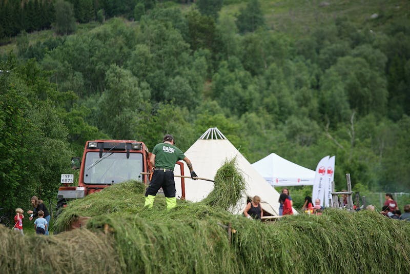 Riddu ﻿Riððu bruker hesjer som inngjerding av festivalområdet. Gresset slås før festivalen og etter festivalen blir det mat for sauer, opplyser festivalsjefen.  ﻿Foto: Andreas Kalvig Anderson / Riddu Riððu